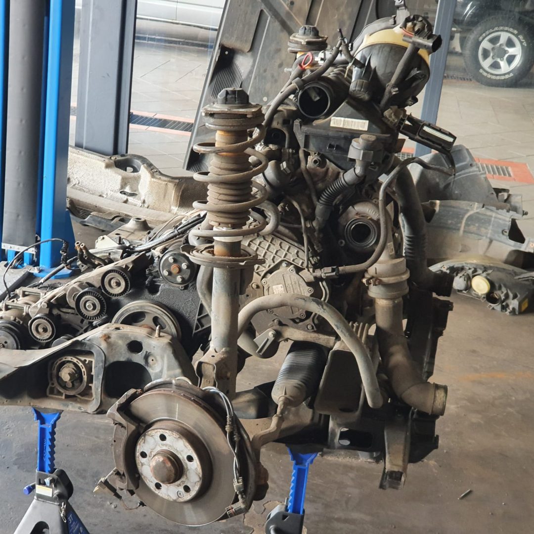 Zdjęcie WhatsApp 2023-01-09 o 15.19.21