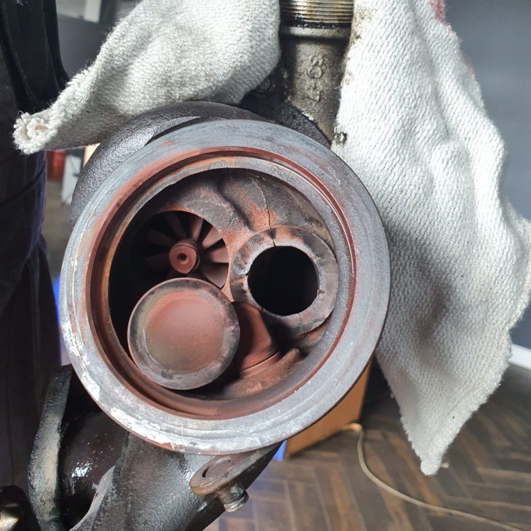 Zdjęcie WhatsApp 2023-01-25 o 18.47.49